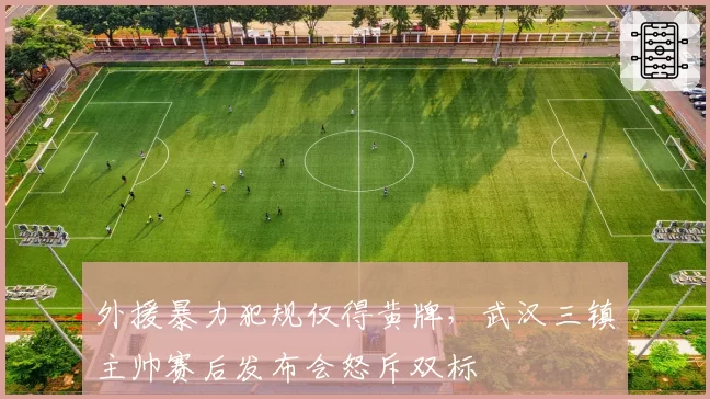 外援暴力犯规仅得黄牌,武汉三镇主帅赛后发布会怒斥双标