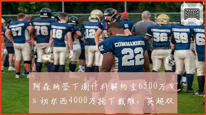 阿森纳签下谢什科解约金6500万 vs 切尔西4000万抢下戴维，英超双雄锋线引援策略高低立见