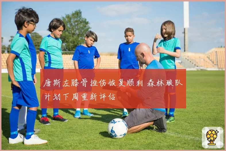 唐斯左膝骨挫伤恢复顺利 森林狼队计划下周重新评估