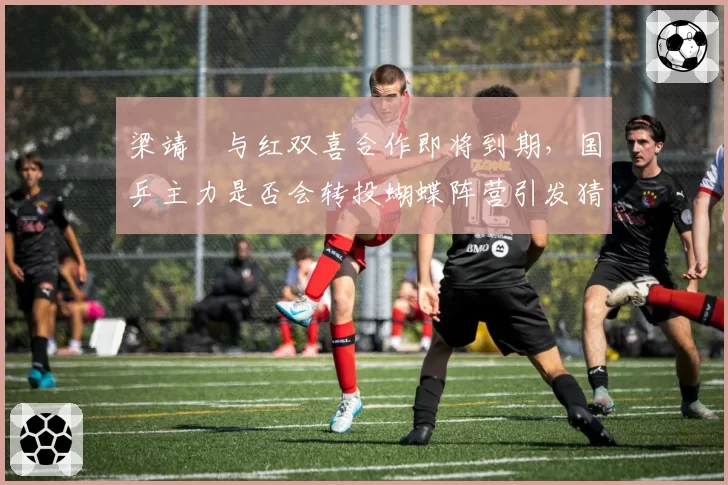 梁靖崑与红双喜合作即将到期，国乒主力是否会转投蝴蝶阵营引发猜想？