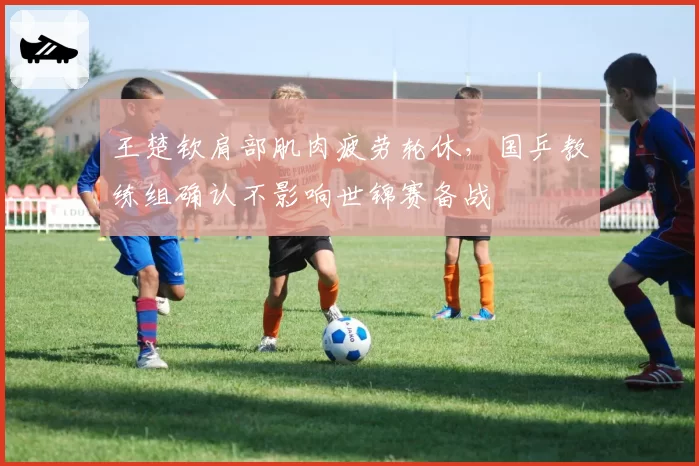 王楚钦肩部肌肉疲劳轮休，国乒教练组确认不影响世锦赛备战