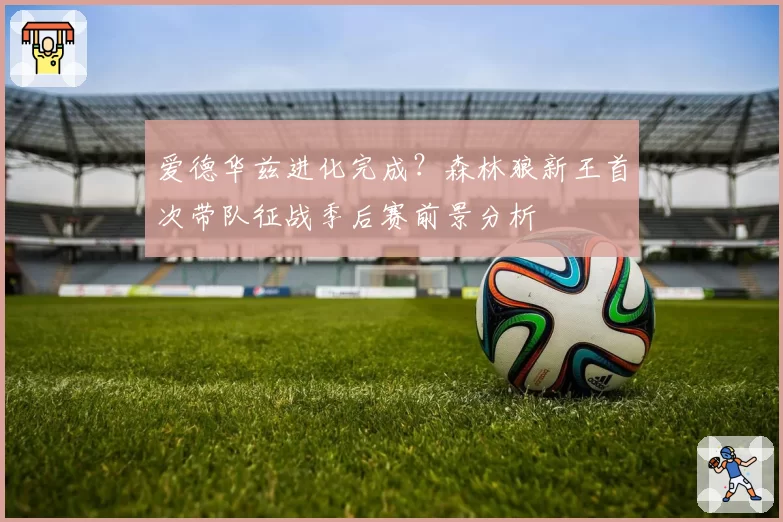 爱德华兹进化完成？森林狼新王首次带队征战季后赛前景分析