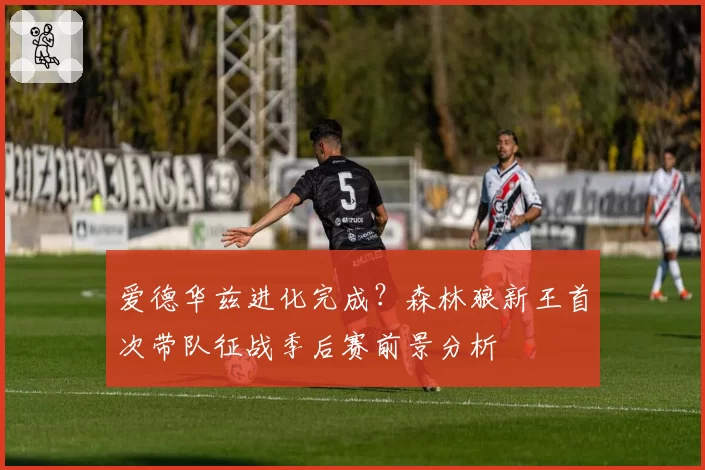 爱德华兹进化完成？森林狼新王首次带队征战季后赛前景分析